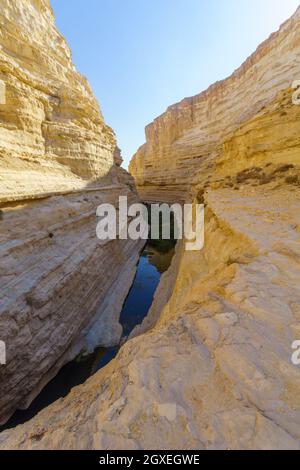 Blick auf den Canyon des ein Avdat National Park, Oase in der Negev-Wüste, Süd-Israel Stockfoto