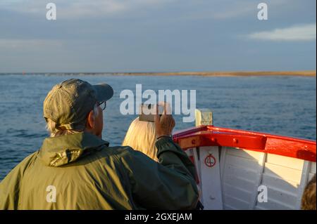 Passagiere an Bord eines Bootes mit Robbencharter beobachten und fotografieren Robben, die sich im niedrigen Sonnenlicht in Blakeney Point, Norfolk, England sonnen. Stockfoto