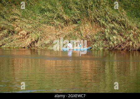 Zwei Nilfischer mit einem kleinen Jungen, der ein kleines Boot rudert und in der Nähe des Ufers in ruhigem Wasser anfischt Stockfoto