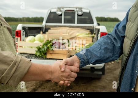 Hände von zwei Bauern, die sich mit der Gemüseernte an den Kofferraum schüttelten Stockfoto