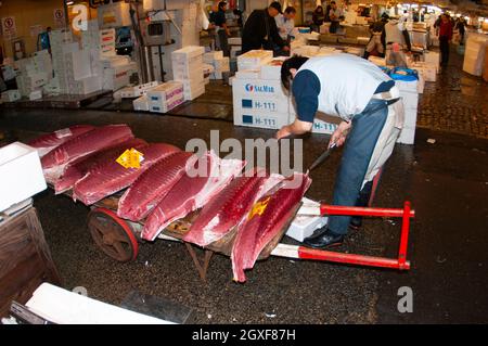 Gefrorener Ahi-Thunfisch, der auf dem alten Tsukiji-Fischmarkt in Tokio, Japan, inspiziert wird Stockfoto