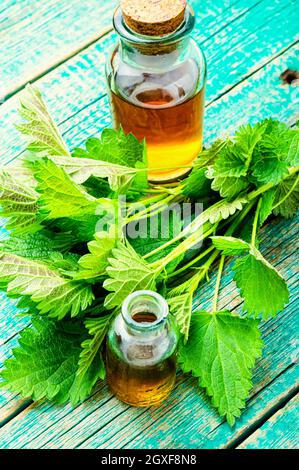 Brennnessel-Essenz-Öl in Glasflasche und frischen Brennnesselblättern.Urtica Dioica oder Brennnessel Stockfoto