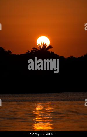 Schöner Sonnenuntergang am idyllischen Strand auf der Insel Boipeba, Bundesstaat Bahia, Brasilien Stockfoto