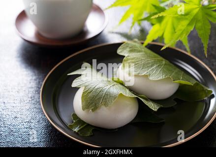 Kashiwa-mochi Reiskuchen auf schwarzem Hintergrund. Kashiwa Mochi ist eine japanische Süßwarenfabrik. Stockfoto