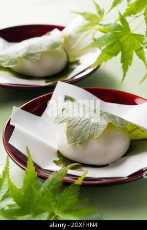 Kashiwa Mochi (Reiskuchen) auf einem grünen Hintergrund platziert. Kashiwa Mochi ist eine japanische Süßwarenfabrik. Stockfoto