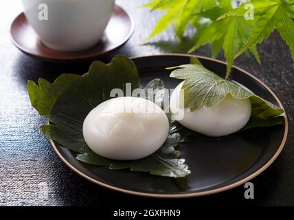 Kashiwa-mochi Reiskuchen auf schwarzem Hintergrund. Kashiwa Mochi ist eine japanische Süßwarenfabrik. Stockfoto