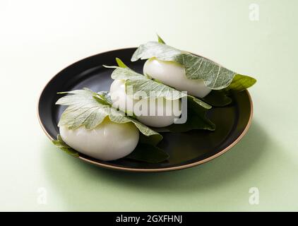 Kashiwa Mochi (Reiskuchen) auf einem grünen Hintergrund platziert. Kashiwa Mochi ist eine japanische Süßwarenfabrik. Stockfoto