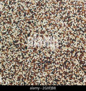 Samen von ungekochten Quinoa. Gemischte rote, weiße und schwarze Quinoa als abstrakte Hintergrundstruktur. Samen von ungekochten Quinoa. Superfood. Stockfoto