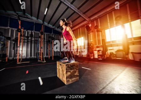 Entschlossenes athletisches Mädchen macht Boxsprungübungen im Fitnessstudio Stockfoto