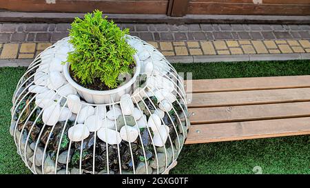 Natur- und Landhausdesign. Bäume beschneiden, die Natur für den Winter vorbereiten. Nadelbäume und Obstpflanzen. Selektiver Fokus. Stockfoto