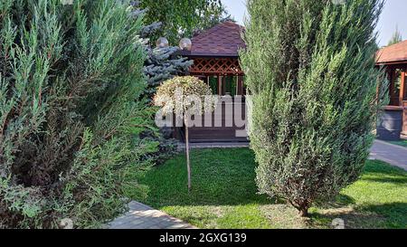 Natur- und Landhausdesign. Bäume beschneiden, die Natur für den Winter vorbereiten. Nadelbäume und Obstpflanzen. Selektiver Fokus. Stockfoto