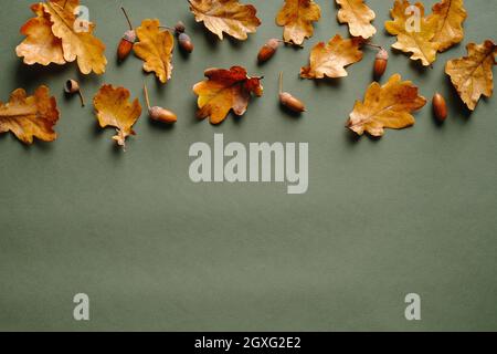 Herbstkomposition mit trockenen Eichenblättern und Eicheln auf vintage-grünem Hintergrund. Herbst-Herbst-Konzept. Flach liegend, Draufsicht, Kopierbereich. Stockfoto