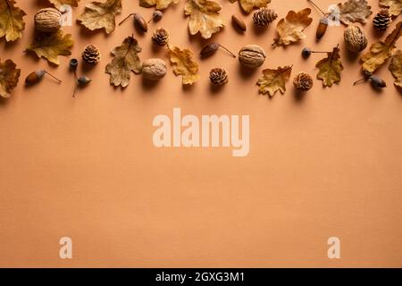 Herbstkomposition. Rahmenoberkante aus trockenen Eichenblättern, Walnüssen, Eicheln, Tannenzapfen auf orangefarbenem Hintergrund. Herbst-Herbst-Konzept. Flach liegend, top vie Stockfoto