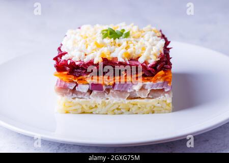 Heringsalat unter einem Pelzmantel. Traditioneller russischer, vielschichtiger Salat aus Hering, Rüben, Kartoffeln, Karotten und Eiern. Nahaufnahme, grauer Hintergrund. Stockfoto