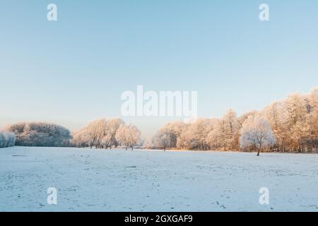 Schnee auf dem Gras und Frost auf den Bäumen, wenn die Sonne im Pollok Park während des extrem kalten Winters von 2010 untergeht. Stockfoto