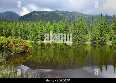 Der See Jamske pleso in der Hohen Tatra. Berge und Bäume spiegeln sich im See. Slowakei. Stockfoto