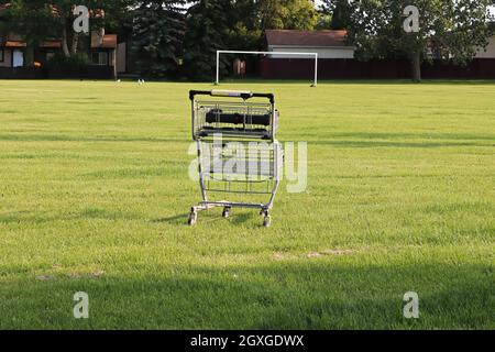 Ein Einkaufswagen, der im Sommer in einem Park abgelegt wurde. Stockfoto