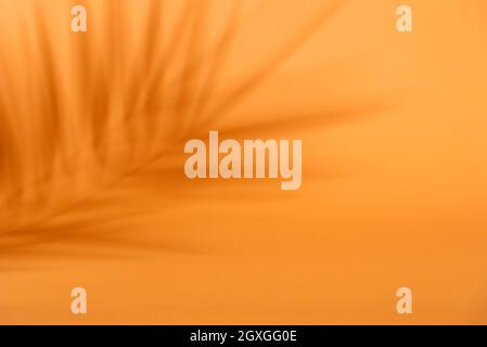 Tropischer Schatten auf orangefarbenem Hintergrund. Tropisches Palmblatt-Overlay auf Danksagungs- und halloween-Kulisse. Produktanzeige. Natürliche Silhouette an der Wand. Fl Stockfoto