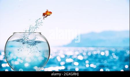 Verbesserung und Fortschritt Konzept mit einem Goldfisch springen aus Stockfoto