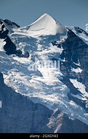 Silberhorn Stockfoto