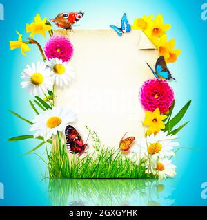 Kreatives Layout mit Blumen und Schmetterlingen. Minimalkonzept für den Frühling. Stockfoto
