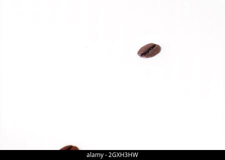 Kaffeebohnen, die auf den Milchspritzer fallen. Tasse Milch. Konzeptfotografie. Stockfoto