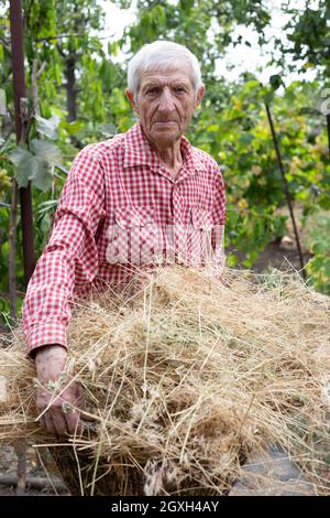 Porträt eines lächelnden älteren Mannes im Garten Stockfoto