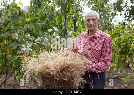 Porträt eines lächelnden älteren Mannes im Garten Stockfoto