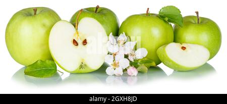 Apfelfrüchte Sammlung von grünen Apfelfrüchten mit Blättern und Blüten Isoliert auf einem weißen Hintergrund Nahrung Stockfoto