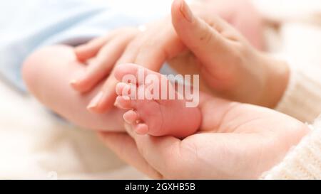 Nahaufnahme von kleinen neugeborenen Babyfüßen in sanften Händen der Mutter. Konzept von Familienglück und liebevollen Eltern mit kleinen Kindern. Stockfoto