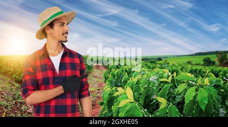 Bauer mit Hut vor einer Kaffeeplantage, an einem Sonnenuntergangstag auf der Farm. Landarbeiter auf dem Feld. Stockfoto