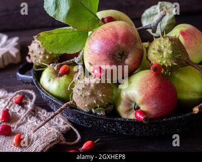 Wilde Lebensmittel wie wilde Äpfel, Kastanien und Hagebutten auf dem Holztisch. Stockfoto