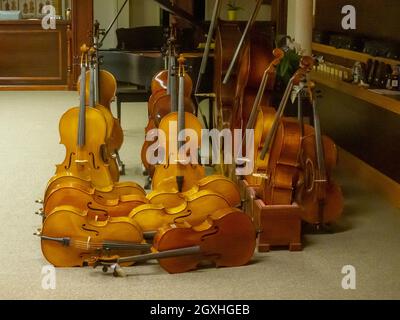 Violinen und Celli im Geschäft mit Estring-Musikinstrumenten in Quincy, Massachusetts Stockfoto