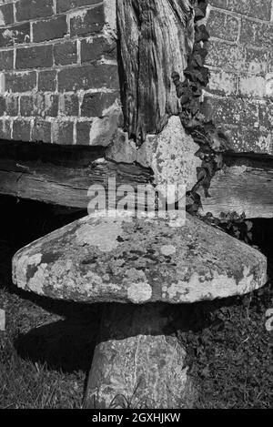 Mittelalterliche Gebäude auf dem Gelände von Cowdray House, Cowdray Park, Midhurst, Sussex, England, VEREINIGTES KÖNIGREICH Stockfoto