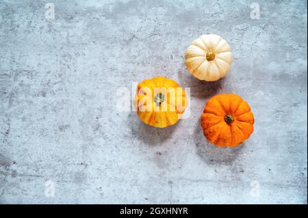 Herbstliche Küchen- oder Restaurantszene. Drei verschieden farbige Mini-Kürbisse liegen auf einem strukturierten Betonhintergrund. Stockfoto