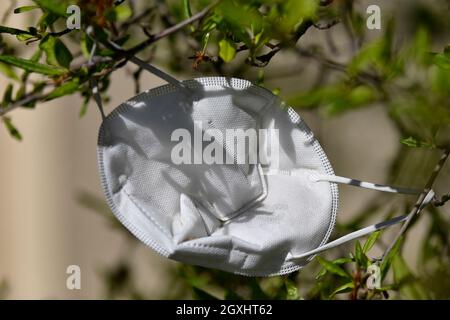 Medizinische Gesichtsmaske, in einen Baum geworfen Stockfoto