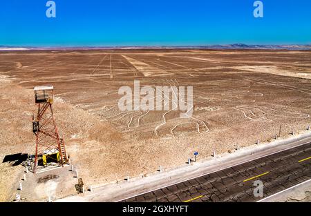 Die Baumfigur in Nazca in Peru Stockfoto