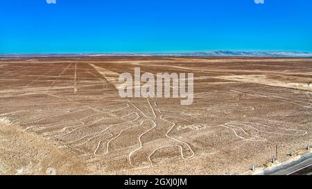 Die Baumfigur in Nazca in Peru Stockfoto
