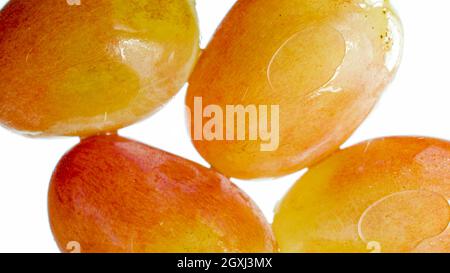 Nahaufnahme von reifen gelben und roten Trauben durch Glas auf weißem Hintergrund. Abstrakter Hintergrund von Beeren und Früchten. Stockfoto