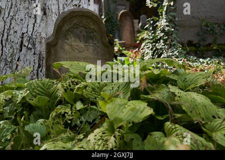 Sighisoara, Rumänien - 19. September 2021: Bilder mit dem alten Friedhof in Sighisoara, einige Grabsteine aus dem 13. Jahrhundert Stockfoto