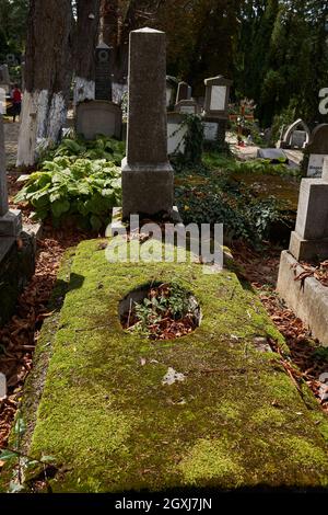 Sighisoara, Rumänien - 19. September 2021: Bilder mit dem alten Friedhof in Sighisoara, einige Grabsteine aus dem 13. Jahrhundert Stockfoto