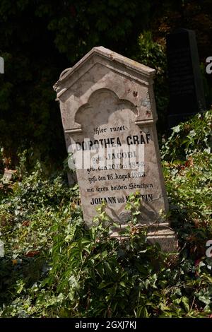Sighisoara, Rumänien - 19. September 2021: Bilder mit dem alten Friedhof in Sighisoara, einige Grabsteine aus dem 13. Jahrhundert Stockfoto
