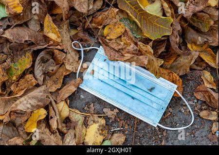 Weggeworfene Gesichtsmaske, die in Herbstblättern als Müll auf dem Boden liegt. Stockfoto