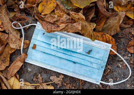 Weggeworfene Gesichtsmaske, die in Herbstblättern als Müll auf dem Boden liegt. Stockfoto