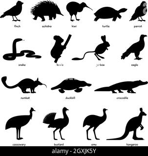 Sammlung von australischen Tieren und Vögel Silhouetten Stock Vektor