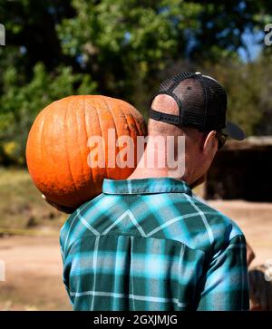 Ein Mann trägt einen Kürbis, der beim jährlichen Erntefest im El Rancho de las Golondrinas Living History Complex in New Mexico gekauft wurde. Stockfoto