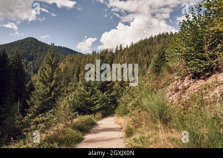 Wanderweg bei Burgbach Wasserfall im Schwarzwald, Deutschland. Stockfoto