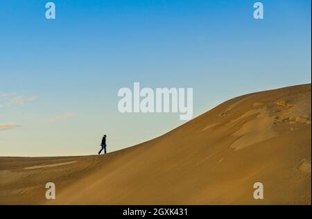 Mann beim Spaziergang in den Sanddünen, Coffin Bay National Park, Port Lincoln, Eyre Peninsula, South Australia, Australien Stockfoto