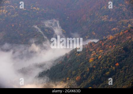 Niedrige Wolken über dem Gipfel der Puigsacalm, La Garrotxa, Girona, Spanien Stockfoto