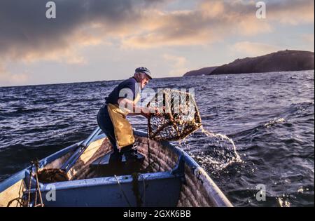 Hummer/Krabben Britischer Fischer auf See in einem kleinen offenen Boot, das seine Hummertöpfe bei Sonnenaufgang vor der Cornwall-Küste in Großbritannien herausnimmt Stockfoto